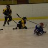 2011 - U11 - Le Havre vs Rouen 2 le 25 janvier 2012