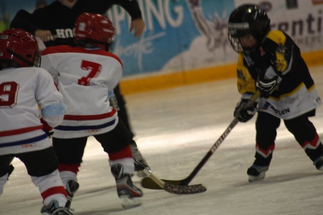 2011 - U7 - Tournoi du 23-10-2011