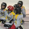 2011 - U7 - Tournoi du 23-10-2011