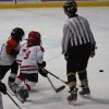 2011 - U7 - Tournoi du 23-10-2011