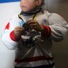 2011 - U7 - Tournoi du 23-10-2011