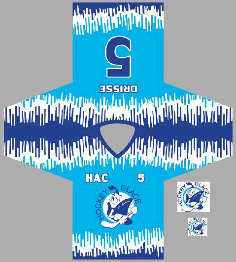 maillots_2009.png